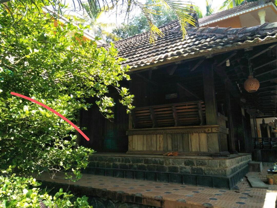 דירות טריואנדרום Thriphala Ayurveda Yogashram מראה חיצוני תמונה
